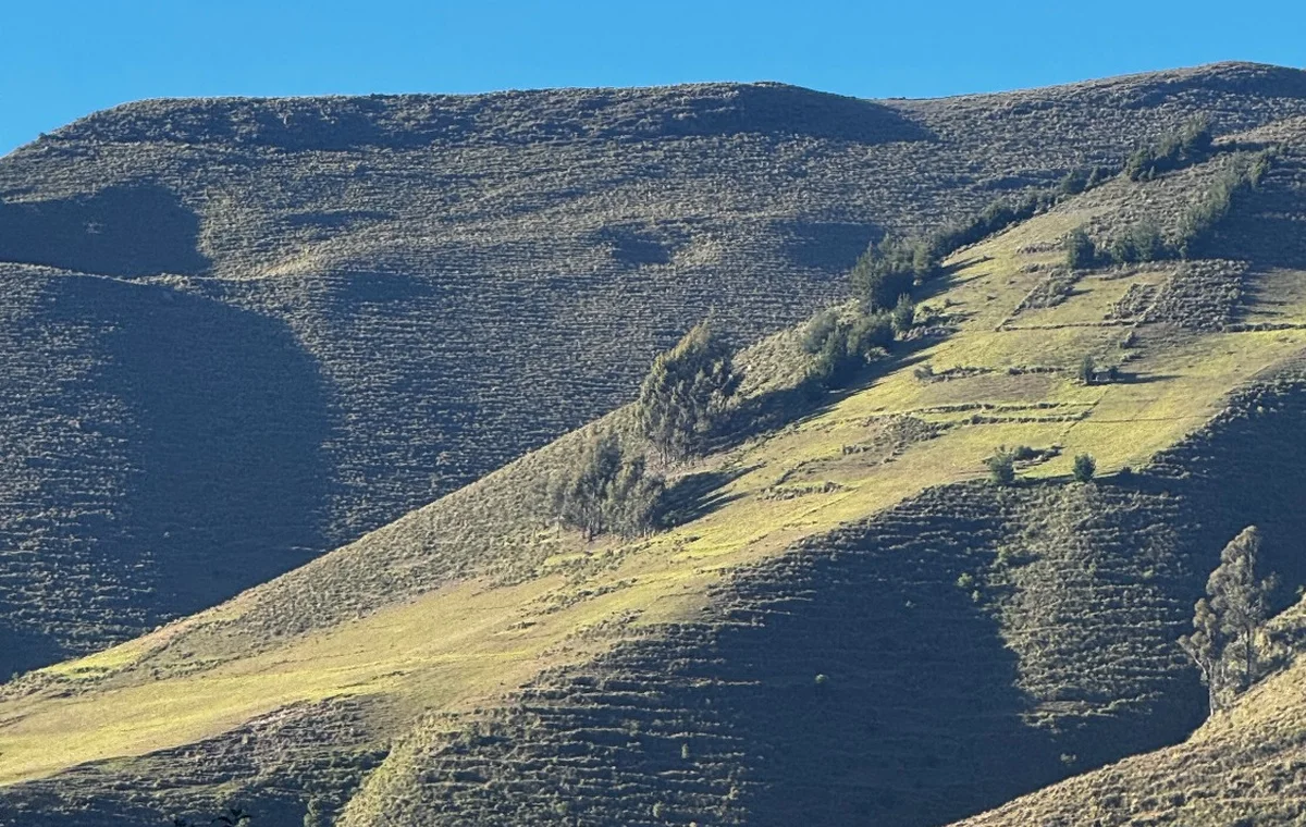 Paisaje agrícola andino